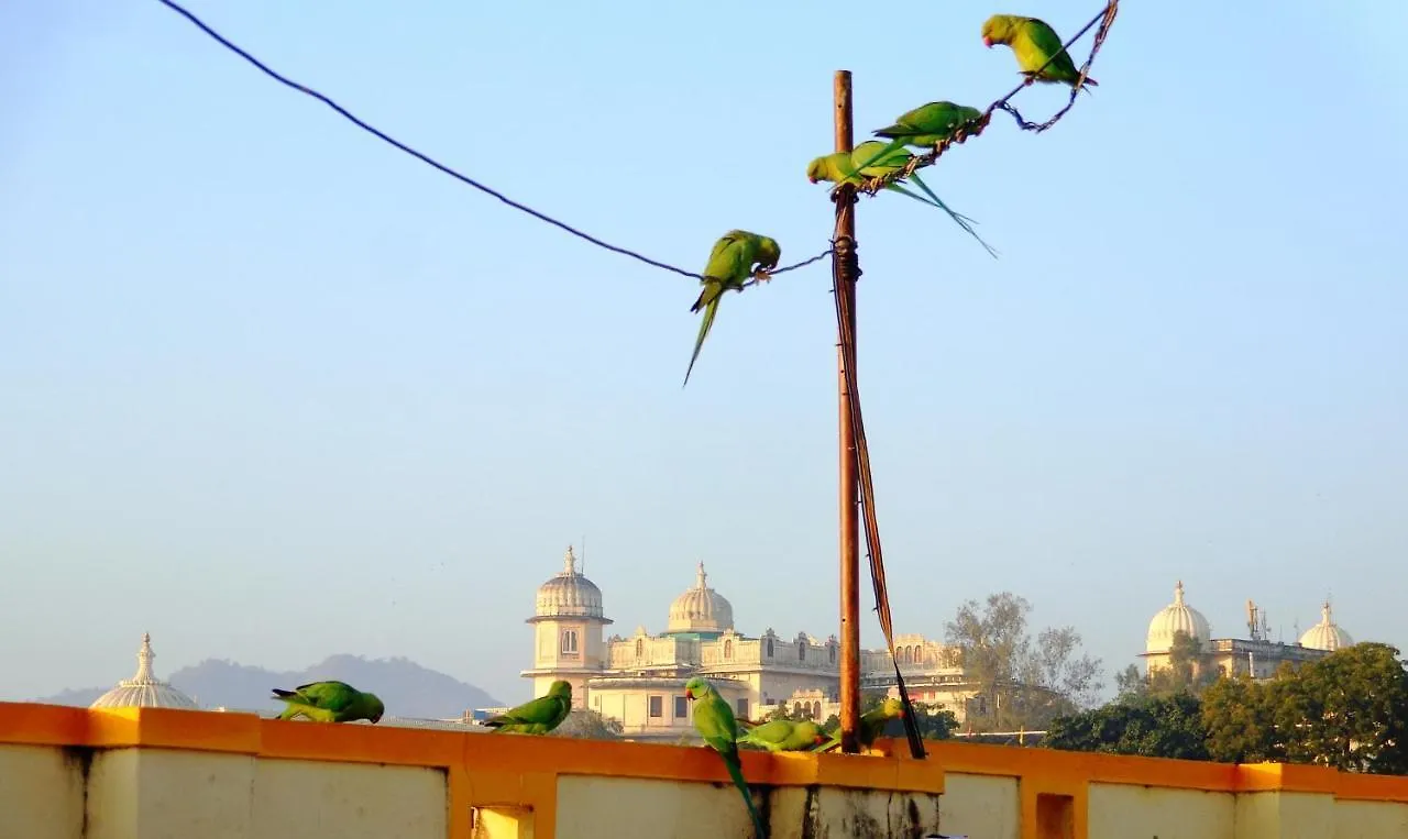 Hostel Mohan Villa Guest House Udajpur