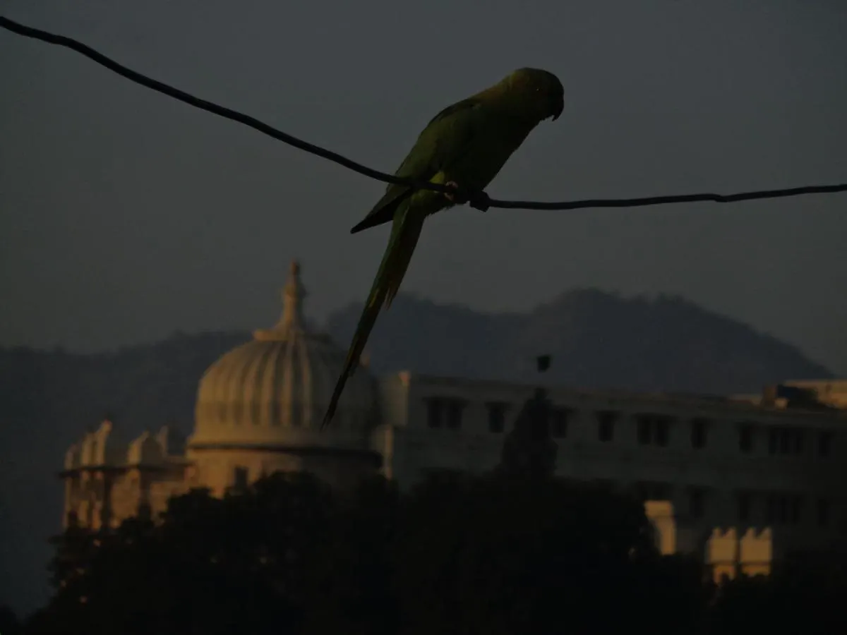 Hostel Mohan Villa Guest House Udaipur